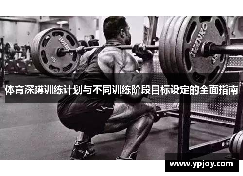 体育深蹲训练计划与不同训练阶段目标设定的全面指南